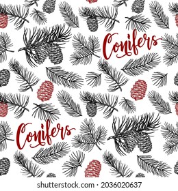 Hand drawn design vector elements. Seamless pattern. Forest collection of coniferous branches and pine cones isolated on white background. Fir cone sketch.