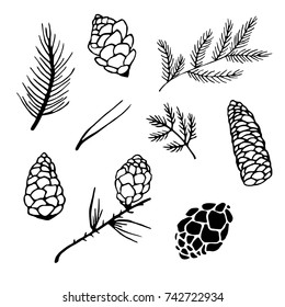 Hand drawn design vector elements. Christmas collection of branches and pine cones isolated on white background.