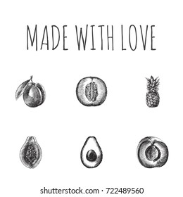 Hand Drawn Dessert Sketches Set. Collection Of Plum, Alligator Pear, Pawpaw And Other Sketch Elements.