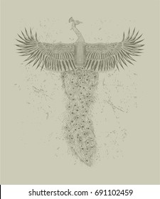 Hand drawn detailed bird in the grunge grey background. Sketch of peacock for print t-shirt. Vector isolated  chinese illustration.