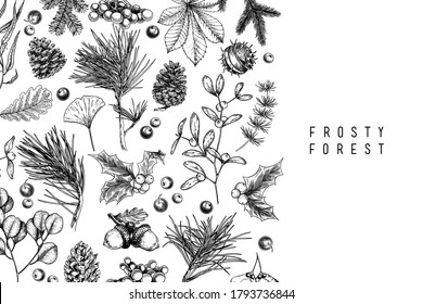 Hand drawn detailed Christmas banner. Vector forest pine, cone, mistletoe, holly, accorn, berries. Xmas, New Year minimalist design. Holiady sale, advertisement, shop promotion brand merchandising