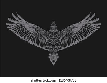 Hand drawn detailed flying mascot.Sketch for tattoo art.Black background with grey hand drawn hawk.Flying bird on black ground. Engraved owl. Vector isolated illustration. Sketch of tattoo art. 