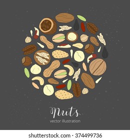 Hand drawn detailed nuts composed in circle shape. Pecan, cashew, almond, brazil, pistachio, macadamia, hazelnut, walnut, peanut, sunflower seeds.
