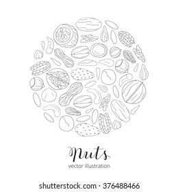 Hand drawn detailed nuts composed in circle shape. Pecan, cashew, almond, brazil, pistachio, macadamia, hazelnut, walnut, peanut, sunflower seeds.