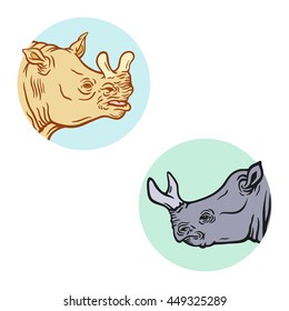 Hand drawn detailed set of brontotheriums' heads. High quality anatomic and realistic image. Colored picture. Megacerops.