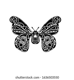 Hand drawn detailed sketch. Tropical butterfly isolated on white. Vector illustration of insect with wings. Exotic moth for packaging, label, logo, icon design.