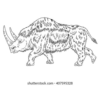 Hand drawn detailed vector illustration of a running woolly rhino. High quality anatomic and realistic image. Black and white picture. Coelodonta antiquitatis. 