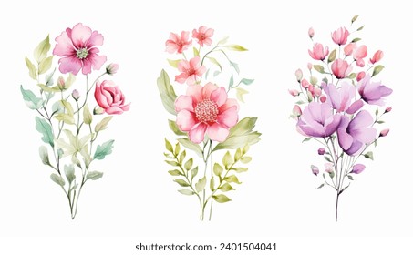 Vector de flores silvestres de acuarela con dibujos a mano. Plantas florecientes, flores florecientes aisladas en fondo blanco. 