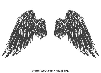 Hand Drawn Detailed Wings Stock Vector (Royalty Free) 789566017 ...