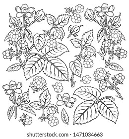 Hand drawn dewberry. Set of objects. Cartoon vector abstract illustration.