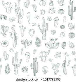  Hand drawn different cactuses in sketchy doodle style. Vector seamless line pattern.