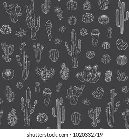  Hand drawn different cactuses in sketchy doodle style. Vector seamless pattern.