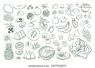 Hand drawn different fruits set. Vegan food collection in sketch style