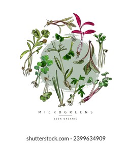 Hand drawn different micro-green sprouts in round composition sketch style, vector illustration isolated on white background. Healthy food text, coriander, clover, radish and sunflower plants