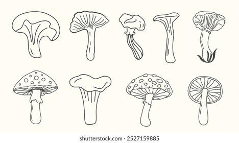 Dibujado a mano diferentes hongos Doodle Sketch Fungus Icons Colección. Conjunto de Elementos de diseño de bosque de otoño acogedor Ilustración vectorial Antiguas estilo retro