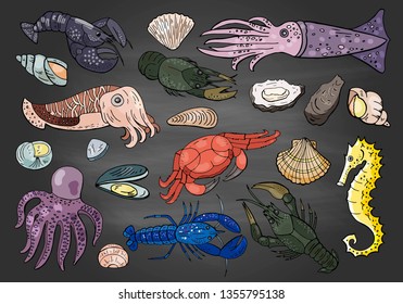 Hand drawn different seafood colored on chalkboard. 