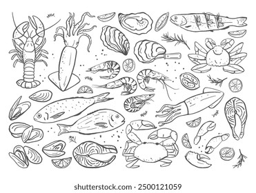 Hand drawn different seafood set