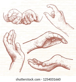 Hand drawn diffrent poses of woman's hands. Hands that hold something and support. Vinage Hand drawn