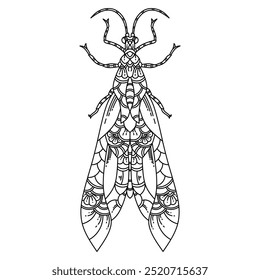 Hand drawn of Dobsonfly in zentangle style