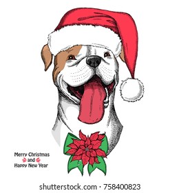 Hand drawn dog. American Bulldog in a red Santa Claus hat with bow and Christmas flower 