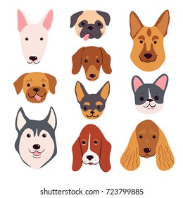 Hand drawn dog breeds set. Funny vector pet muzzles.