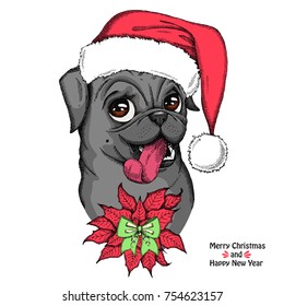 Hand drawn dog. Cute Pug in a red Santa Claus hat with bow and Christmas flower red Poinsettia