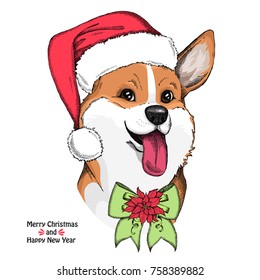 Hand drawn dog. Cute Welsh Corgi  in a red Santa Claus hat with bow and Christmas flower. Year of dog. Dog print/dog poster/dog illustration