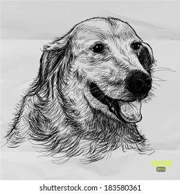hand drawn dog golden retriever on crumpled paper background
