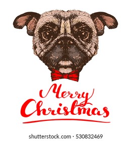 Hand drawn dog head with quote Merry Christmas, vector illustration