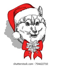 Hand drawn dog Husky in a red Santa Claus hat with bow and Christmas flower