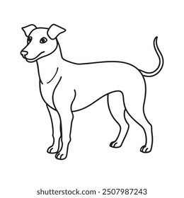 Hand drawn dog outline illustration