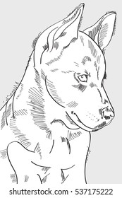 Hand drawn dog outline. Vector illustration eps 8