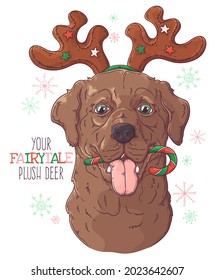 Hand drawn dog portrait with Christmas accessories Vector. Isolated objects for your design. Each object can be changed and moved.