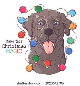 Hand drawn dog portrait with Christmas accessories Vector. Isolated objects for your design. Each object can be changed and moved.