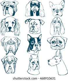 Hand drawn dog portraits isolated on white background. Sketches set of purebred dogs. Elements for dog club logos. T-shirt prints for dog lovers.