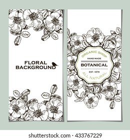 Hand drawn dog rose. Botanical banner collection. Organic shop. Floral shop. Floral background. Vector illustration