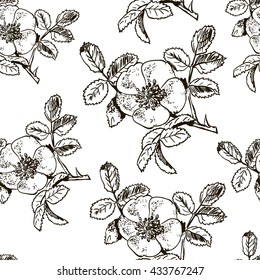 Hand drawn dog rose. Seamless pattern. Vector illustration isolated
