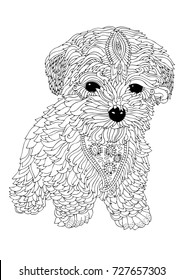 Hand drawn dog. Sketch for anti-stress adult coloring book in zen-tangle style. Vector illustration  for coloring page.