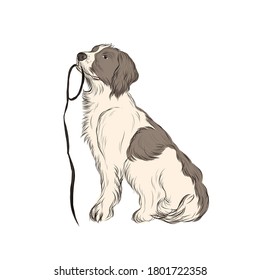 Handgezeichneter Hund. Vektorclip-Kunst. Tiersymbol. 