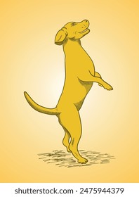 Ilustración vectorial de perro dibujada a mano, contorno de perro, Vector de perro saltando