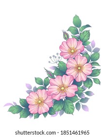 Hand drawn dog-rose bunch with pink flowers and green leaves isolated on white. Vector line art elegant floral corner arrangement in vintage style, tattoo design, wedding decoration.