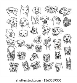 Hand drawn of dogs head set isolated on white background. Caricature cartoon of dogs, vector illustration.