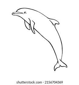 Hand drawn dolphin. Vector illustration in sketch style. Jumping dolphin isolated on white background.