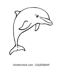 Hand drawn dolphin. Vector illustration in sketch style. Jumping dolphin isolated on white background.