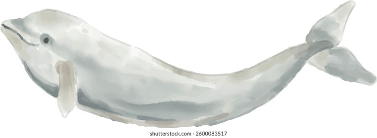 Hand drawn dolphin, watercolor style.