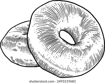 Hand drawn Donuts Sketch Illustration