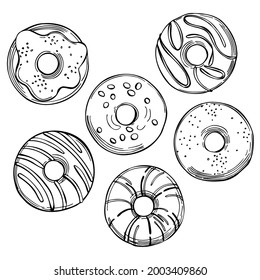 Hand drawn donuts. Vector sketch  illustration.