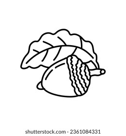 handgezeichnete Doodle Acorn Linie Kunstgrafik einzeln auf weißem Hintergrund