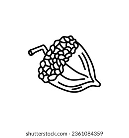 handgezeichnete Doodle Acorn Linie Kunstgrafik einzeln auf weißem Hintergrund