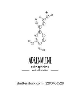 Hand drawn doodle Adrenaline chemical formula icon Vector illustration Cartoon molecule Sketch Epinephrine symbol molecular structure Structural scientific hormone formula isolated on white background